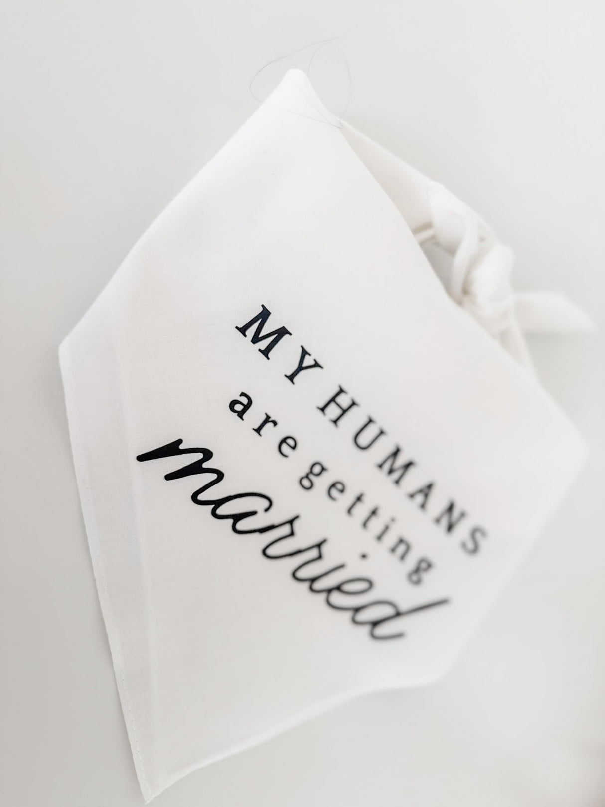 My Humans are Getting Married Engagement Dog Bandana for Photoshoot, Proposal, Wedding, Gift for Newly Engaged Couple, Boho Aesthetic, Natural Beige, Modern Minimalist Design (White, Small)