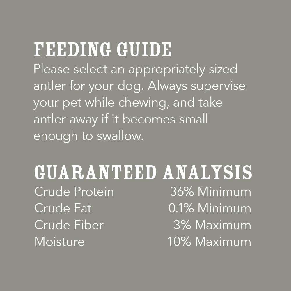 Wag Dog Deer Antler Chew, Naturally Shed, Whole, 9 - 10.5 inches, Long Lasting for Aggressive Chewers, X-Large, Best for Dogs over 45 lbs