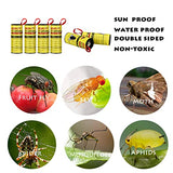 40 Rolls Fly Strips - Fly Tapes Fly Paper Sticky Fly Trap Indoor/Outdoor Hanging,Fly Catcher Fly Ribbon Fungus Gnat Trap Fruit Fly Killer for House/Kitchen/Plants/Horse Stable (40Roll)