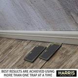 Harris Rat Glue Traps, Fully Disposable (2-Pack)