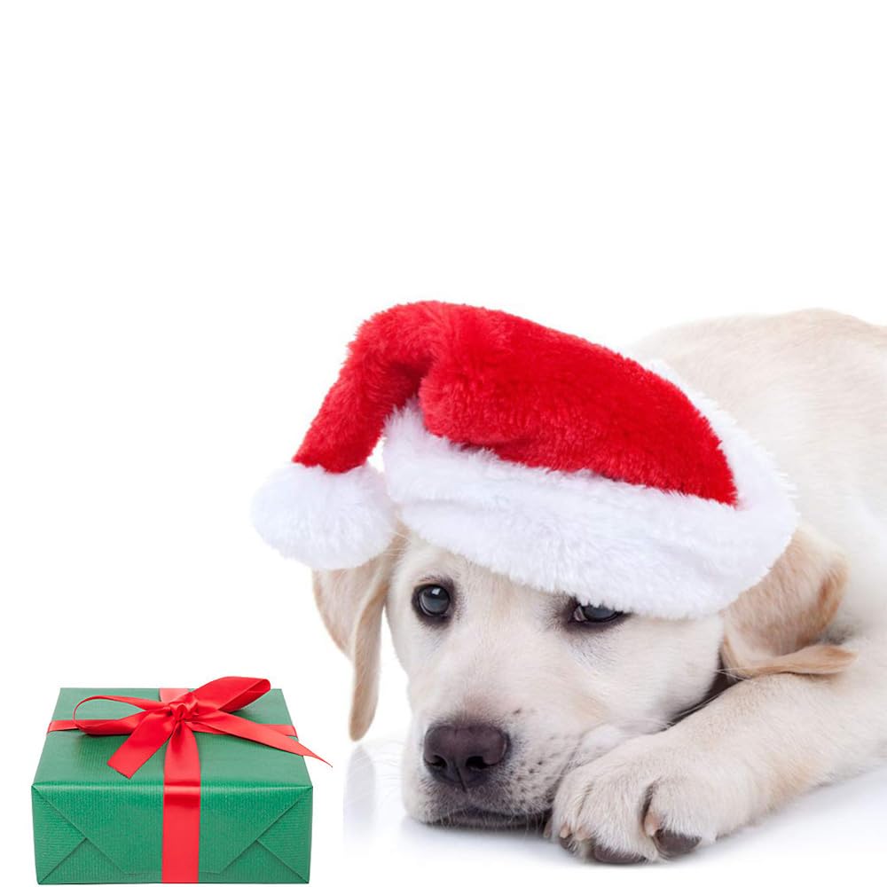 Beiabang 10 Pcs Dog Cat Pet Santa Hat Christmas Pet Costumes Santa Hat Pet Christmas Photo Props for Puppy Kitten Small Cats Dog