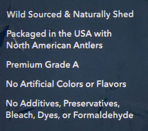 Wag Dog Deer Antler Chew, Naturally Shed, Whole, 9 - 10.5 inches, Long Lasting for Aggressive Chewers, X-Large, Best for Dogs over 45 lbs