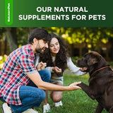 Dog Antibiotics | Natural Antibiotics for Dogs to Help with Infections, Cough, Allergies | Dog UTI Treatment for All Breeds | Puppy & Dog Itch Relief | No GMOs | 2 Oz