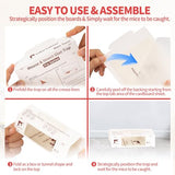 LULUCATCH Sticky Mouse Traps, 24 Pack Pre-baited Glue Traps, Foldable Bulk Non-Toxic Indoor Mouse Glue Boards for Insects, Snake, Lizard, & Spider, Pet Child Safe & Easy to Use Pest Control