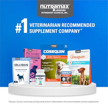 Load image into Gallery viewer, Nutramax Laboratories Cosequin DS Plus MSM Professional Line for Dogs, 60 Soft Chews
