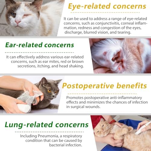 Cat Antibiotics for Infection, Natural Antibiotics for Cats, Cat Multivitamins Liquid, Cat Antibiotic Supports Immune and Cat Allergy Itch Relief, Pet Antibiotics Supplements, Chicken Flavor, 2 Fl Oz