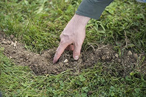 Tomcat Mole Killer, Mimics Natural Food Source, Poison Kills in a Single Feeding, 10 Worms For Rodents
