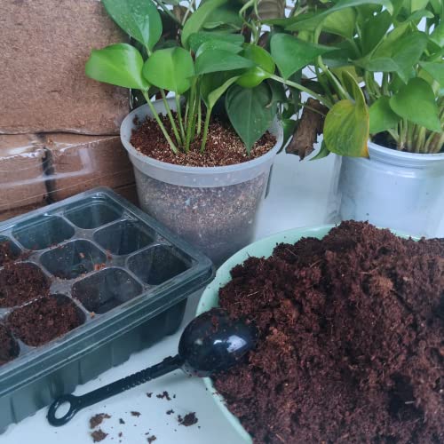 Premium Organic Coconut Coir Bricks - 6 Pack of 13.8 Gallon Bricks for Planting, Gardening, and Potting Soil Substrate. Low EC & pH Balanced 100% Organic Peat Moss Mix with Fiber from Coconut Husks