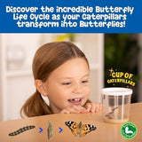 Insect Lore Butterfly Garden | As Seen On TV | 10 Live Baby Caterpillars, Habitat, Journal, Life Cycle Figurines, Seeds, Stickers, Feeder, Chrys-A-Lid Logs | Raise and Release Painted Lady Butterflies