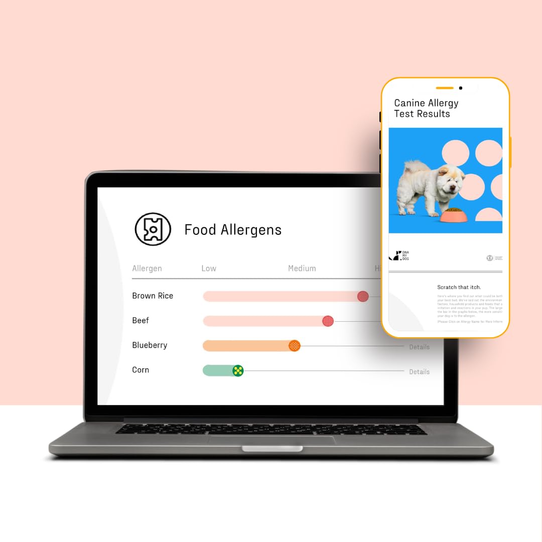 DNA MY DOG Vet-Recommended and Most Accurate Allergy Test for Itchy, Sensitive Dogs | Cheek Swab – The Gold Standard of Testing | Tests for All Common Food & Environmental Allergens | Custom Report