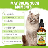 Natural Antibiotics for Cats,Cat Antibiotic,Antibiotics for Cats,Cat Multivitamin,Cat Immune Support,Supports Cat Allergy Itch Relief,Cat Supplements,Cat Allergy Support