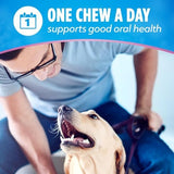 DentaLife Plus Digestive Support Dog Treats for Small and Medium Dogs, Cleans Teeth, Freshens Breath, & Supports Healthy Gut, Chicken & Pumpkin Flavor, 14.4 oz., 19 Chews - 19 ct. Pouch