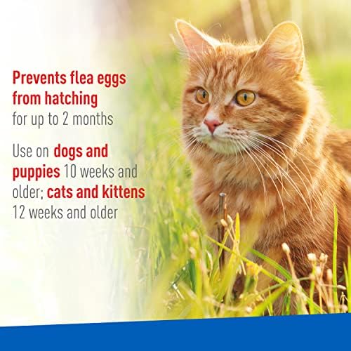 ADAMS Plus Flea & Tick Spray, 8 oz