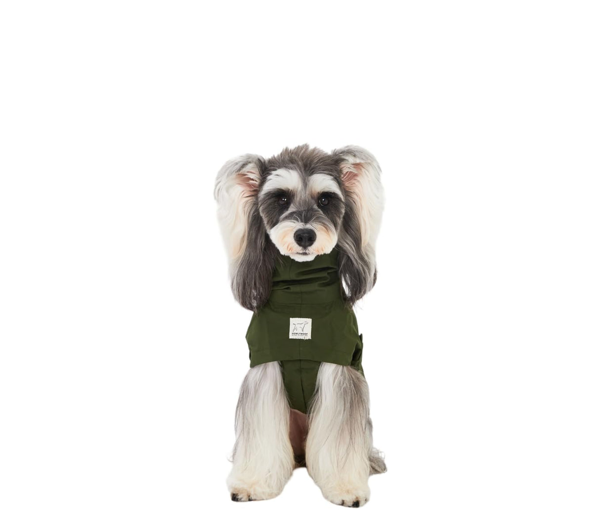 HowlyWoof Waterproof Dog Raincoat, Hooded Raincoat for Dachshund Whippet Small Medium Large Dogs, Adjustable Dog Rain Coat Jacket (05(chest21-23'', back17-19.5''))