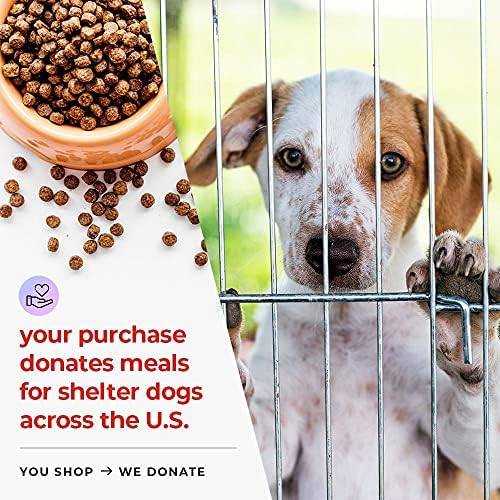 iHeartDogs Bone Broth for Dogs - Bone Broth & Mushroom Gold Powder Supplement for Immune System Support, Improved Mobility & Flexibility and Natural Detox - Turkey Tail Mushroom for Dogs