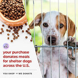 iHeartDogs Bone Broth for Dogs - Bone Broth & Mushroom Gold Powder Supplement for Immune System Support, Improved Mobility & Flexibility and Natural Detox - Turkey Tail Mushroom for Dogs