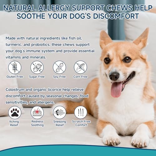 200 Dog Allergy Chews Anti-Itch for Dogs, Dog Allergy Relief Chews for Dogs Itching Skin Relief, Skin & Coat Supplement, Omega 3 Fish Oil, Turmeric & Colostrum Immune Support, Hot Spots, Paw Licking