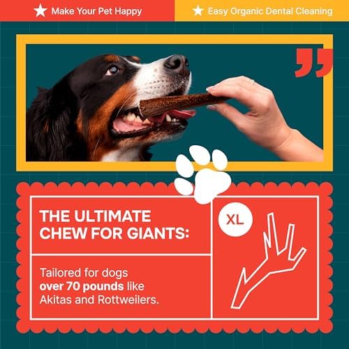 100% Natural - Antlers For Dogs - Elk Antlers for Very Large Dogs - Naturally Shed in USA - Grade A Dog Antler Chews - Dog Chews - Natural, Long-Lasting Treats for Aggressive Chewers - Extra Large