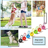 MayPaw 4/6 /8/10 FT Dog Leash, Classic Solid Colors, Strong Nylon Rope Dog Leash Reinforced with Leather Tailor Connection Heavy Duty Silver Clasp