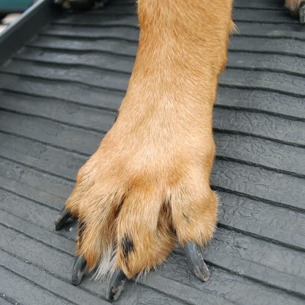 PetStep Dog Ramp Side Door Entry Kit - Graphite/Gray