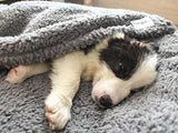 furrybaby Dog Blanket Soft Dog Blankets for Large Dogs Puppy Essentials Washable Sherpa Fleece Cat Blanket 32x40 Inches for Bed Furniture Couch Sofa (Medium, Grey)