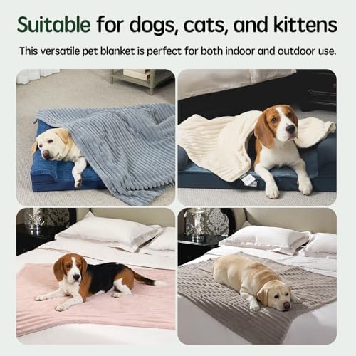 BALANCE Waterproof Blanket Winter White Dog Blanket for Small Dogs, Washable Double Sided Pet Blankets with Milk Plush and Super Soft Velvet, Pee Proof Calming Dog Blankets for Couch Protection