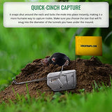 Cinch Mole Trap Deluxe Kit - Medium (2 Packs), Heavy Duty, Reusable Rodent Trapping System, Rust & Weather Resistant, Outdoor Use - for Sports Fields, Yards & More - Personal & Professional-Grade Use
