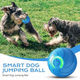 2025 New Vibrating Dog Ball, Automatic Moving Dog Ball, Pet Bounce Ball, Interactive Dog Toys, Viral Bouncing Ball, Shaky Ball Toy Rolling Ball Toys for Small Cats Dogs (s-2pc Mix)