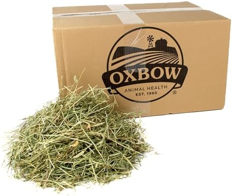 Oxbow Animal Health Western Timothy Hay - All Natural Hay for Rabbits, Guinea Pigs, Chinchillas, Hamsters & Gerbils- Made in the USA- Fiber Rich- Veterinarian Recommended - 25 lb. Bulk Size
