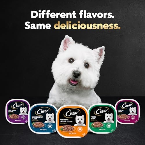 CESAR Adult Wet Dog Food Filets in Gravy Rotisserie Chicken Flavor, 3.5 oz. Easy Peel Trays, Pack of 24