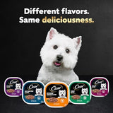 CESAR Adult Wet Dog Food Filets in Gravy Rotisserie Chicken Flavor, 3.5 oz. Easy Peel Trays, Pack of 24