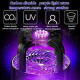 Fruit Fly Traps for Indoors, Indoor Bug Zapper, Mosquito Trap, Gnat Traps for House Indoor, Insect Trap with 5 Sticky Glue Boards, Black
