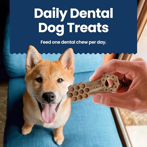 Blue Buffalo Medium Dental Chews for Dogs, Daily Dental Care Dog Treats Made in The USA with Natural Ingredients, Chicken & Spearmint (14 Count)