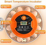 18 Egg Incubator with Automatic Egg Turning and Humidity Control, 360° View Incubators for Hatching Eggs, Incubator for Chicken Eggs, Ducks, Goose, Pigeon, Quail, Parrot Eggs (Orange)