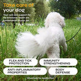 Flea and Tick Prevention for Dogs - Dog Flea Treatment Chews - Immune Support Flea and Tick Chewables for Dogs - Dog Flea & Tick Control Supplement - All Breeds & Ages - Vet Formulated - Soft Treats