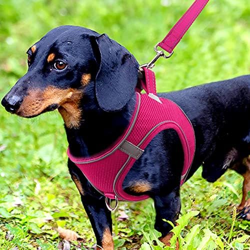 Joytale Small Dog Harness, Breathable Mesh Step-in Vest, Reflective Soft Padded Harnesses for Small and Medium Dogs, Hot Pink, M