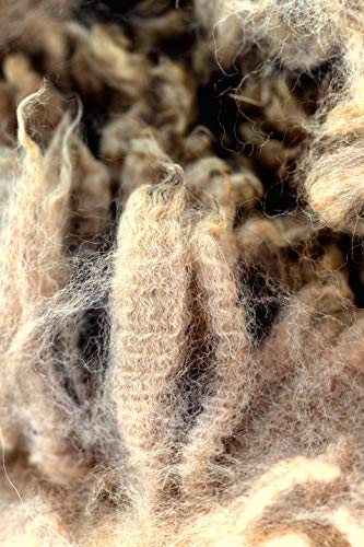 Alpaca Fleece Bird Nesting Material – 8oz Natural Nest Refills | 100% Alpaca Wool for Birds | Soft, Chemical-Free Nesting Fiber for Wild Birds | Eco-Friendly Bird Nest Filler