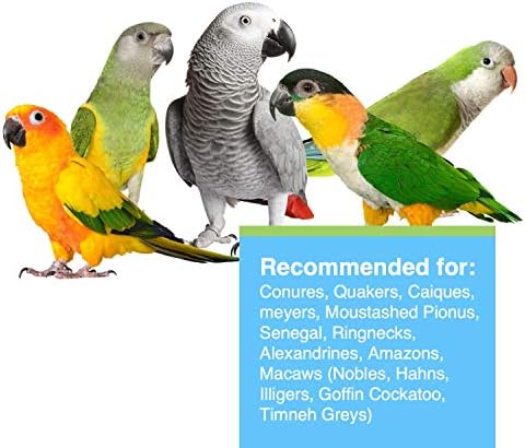 Hari Hagen Tropimix Enrichment Food for Small Parrots, 20 lb. (9.07 kg) - HARI Small Parrot Food with Seeds, Fruit, Nuts, Vegetables, Grains, and Legumes
