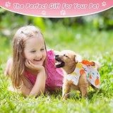 5 Pieces Dog Clothes Girl Dog Dresses Floral Puppy Dresses Pet Cat Princess Bowknot Clothes Cute Puppy Summer Outfits for Yorkie Female Cat Pets, 5 Styles(Cute Style,Medium)