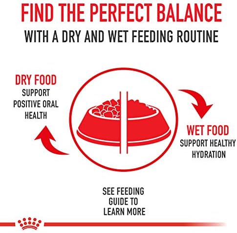 Royal Canin Canine Health Nutrition Puppy Loaf in Sauce Canned Dog Food, 5.2 Oz Can (24-Count)