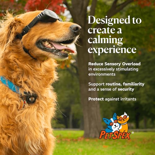 PetSpex® Dog and Cat Sunglasses, Pet Goggles with UV Protection, Windproof Water Resistant Pet Glasses with Adjustable Head and Chin Straps for Outdoor Adventures, Small, Black