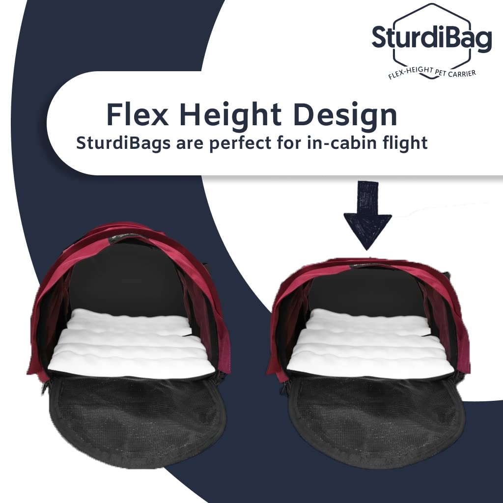 SturdiBag XL Pet Travel Carrier: Flexible Height for Cat and Dog Soft Sided with Safety Clips and Seatbelt Straps | Smoke, 20" x 16" x 12" (PN: SB3-PRO-SM)