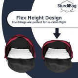 SturdiBag XL Pet Travel Carrier: Flexible Height for Cat and Dog Soft Sided with Safety Clips and Seatbelt Straps | Smoke, 20" x 16" x 12" (PN: SB3-PRO-SM)