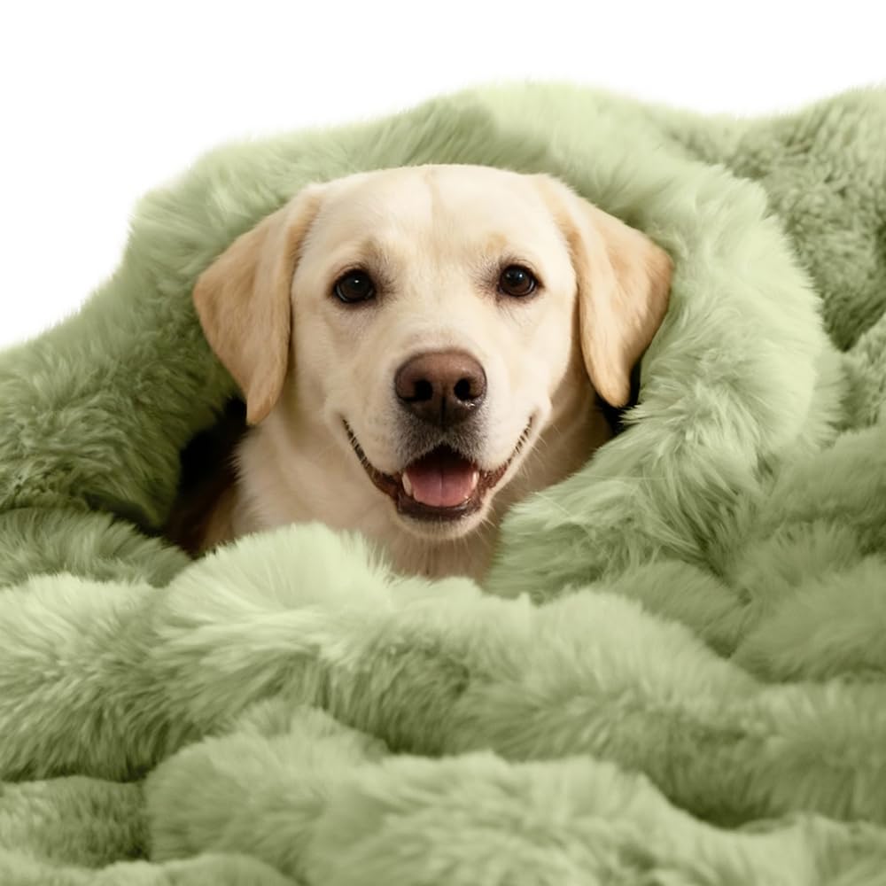 SOMAHE Dog Blanket Self-Warming Throw for Medium & Large Dogs, Dual-Side Sherpa Plush, Thick Crate Bed Cover & Car Seat Mat, Anti-Static Machine Washable No Shrink, 39x30 Inch Green