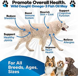 Omega 3 Fish Oil for Dogs - Better Than Salmon Oil - Dog Fish Oil Supplement to Reduce Shedding & Itching - Supports Joints, Brain, and Heart Health - Skin and Coat Supplement - Liquid Fish Oil
