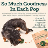 WOOF Pupsicle Refill Pops for All-in-1 Health - Long-Lasting Multivitamin Refills for The Pupsicle Toy - with Vitamins A, B, D, Iron, Magnesium, and Fiber - XL Pops - 5 Count