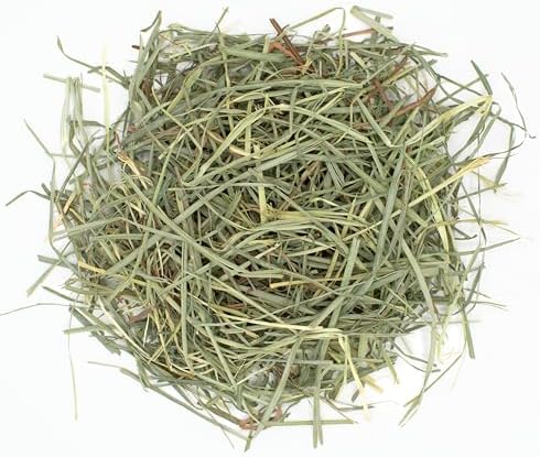 Oxbow Animal Health Orchard Grass Hay - All Natural Grass Hay for Chinchillas, Rabbits, Guinea Pigs, Hamsters & Gerbils - 25 lb.
