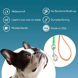 Jelly Pet Grooming Lead for Dogs | Great for Kennels, Veterinarians and Dog Grooming Salons | Biothane Leash - Easy to Clean, Waterproof & Durable Noose Loop | Made in USA | 3/8'' x 4' Hunter Orange