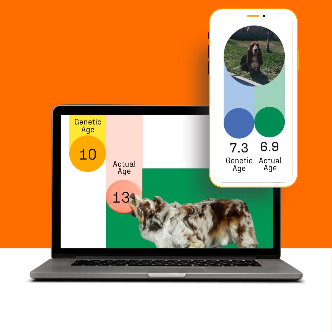 DNA Genetic Age and Breed Test – Trusted & Affordable Breed Identification | 350+ Breeds Identified with 99%+ Accuracy | Plus Genetic Age Test, Wolf DNA