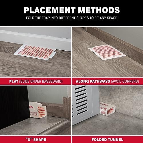 Catchmaster Mouse & Insect Glue Boards 12-Pk, Mouse Traps Indoor for Home, Bulk Glue Traps for Mice and Rats, Adhesive Boards for Inside House, Snake, Lizard, & Spider Trap, Pet Safe Pest Control
